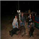 South Texas Hogs